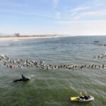 2011 – Paddle Out Memorial Ceremony for Surfline founder Sean Collins