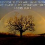 john-16-33