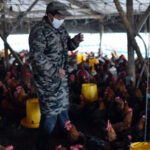 Poultry farm in Anhui province