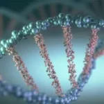 DNA-helix-concept-evolution-medicine-science